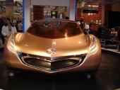 DSC00676 (Custom).JPG